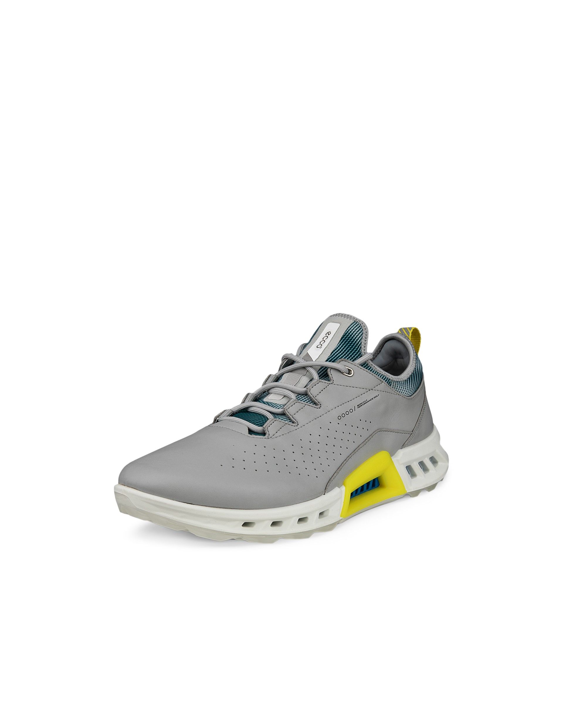 Ecco M GOLF BIOM C4 Shoe GTXS 42 - Products - Veryk Mall - Veryk